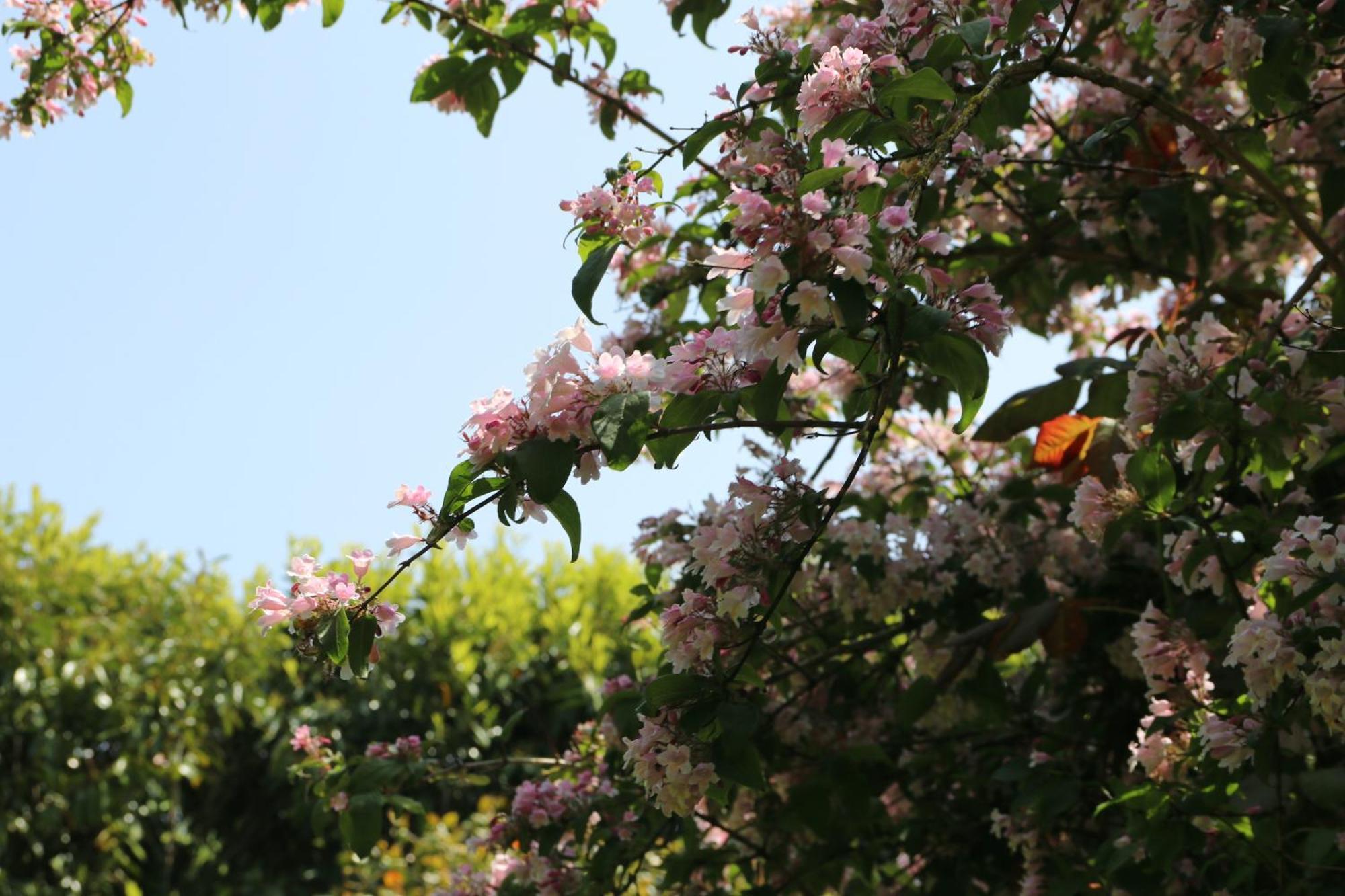 Charmant Logement Dans Un Ecrin De Verdure Le Manoir  エクステリア 写真